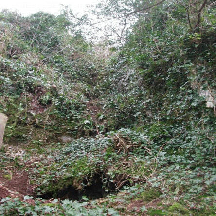 The Gulley Cave in 2005 before excavation.